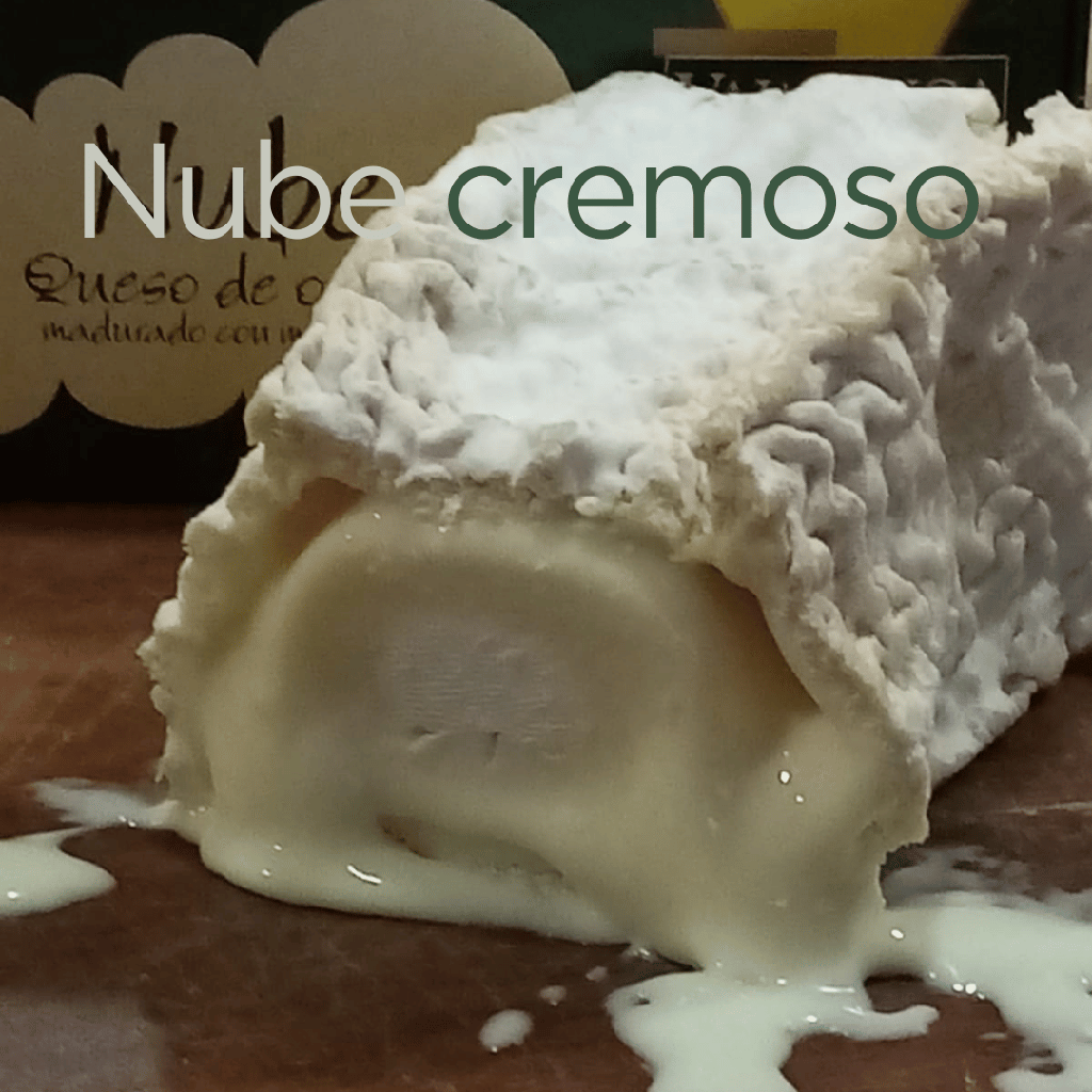 Queso Nube cremoso