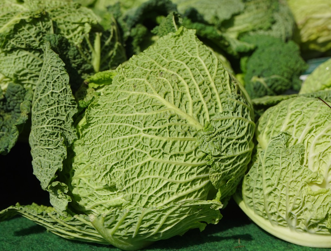 COL HOJA RIZADA - Unidad (Aragón)