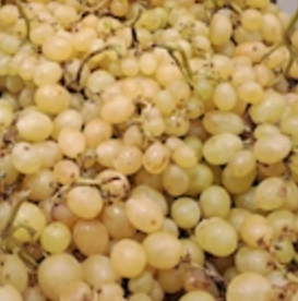 UVA BLANCA  - KG (España)