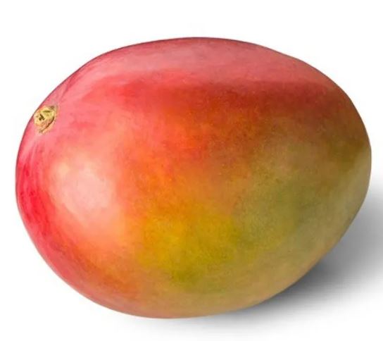 MANGO - KG (Importación)