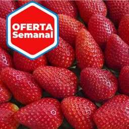 FRESAS - Caja de 1 KG (Parque Natural del Doñana-Huelva) Bio y Bcorp